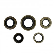 Nissan Titan pinion seal, front differential