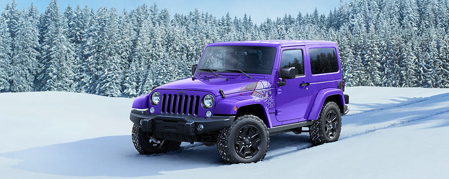 2016 Jeep Wrangler Backcountry purple