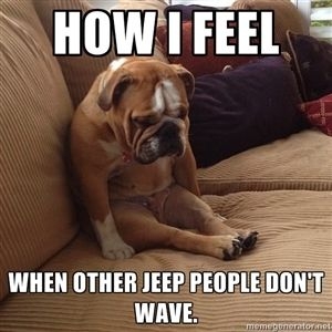 no-jeep-wave-for-me